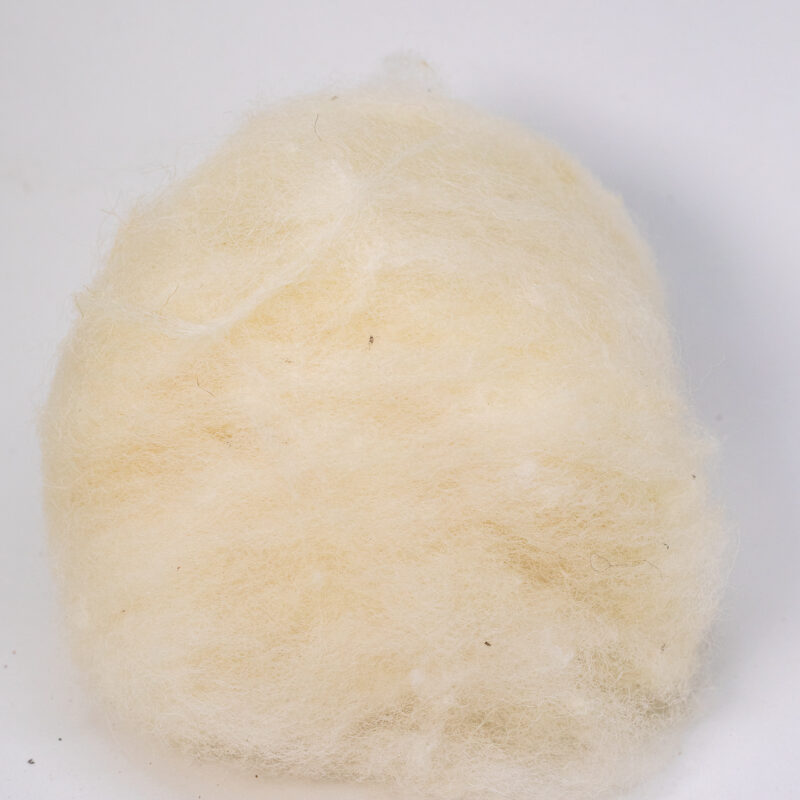 Lã natural cardada artesanalmente - 1kg
